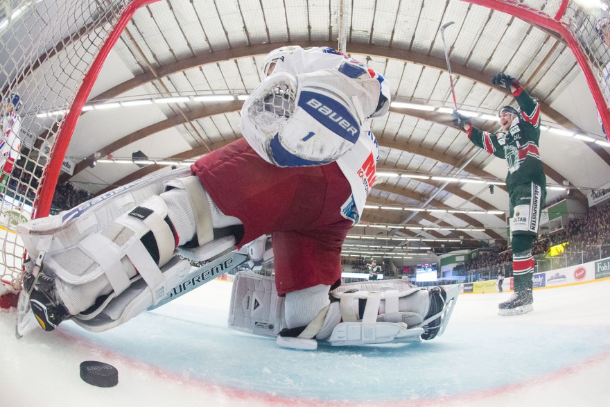 Tingsryd 81 Filip Owesson jubka efter Tingsryd 17 Emil Forslund (ej i bild) 4-2 mål under matchen i HockeyAllsvenskan mellan Tingsryd och Oskarshamn på Nelson Garden Arena i Tingsryd den 21 Oktober ( Foto: Lars Nilsson / Pic-Agency )