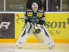 2015-11-15 Tingsryd-Almtuna LNI0345