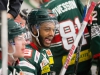 2015-12-02 Tingsryd-AIK LNI2015