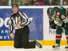 2015-12-02 Tingsryd-AIK LNI2197