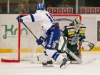 2015-12-11 Tingsryd-Leksand LNI4219