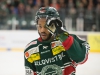 2015-12-11 Tingsryd-Leksand LNI2327