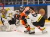 2016-01-27 Karlskrona-Brynäs LNI3485