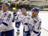 2016-03-12 Tingsryd-Leksand LNI2446