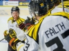 2017-02-25 Växjö-Brynäs LNI3039