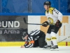 2017-02-25 Växjö-Brynäs LNI4637