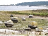 2017-10-02 Gotland-Gotland LNI7962