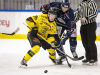 2024-01-21 KRIF-Vimmerby